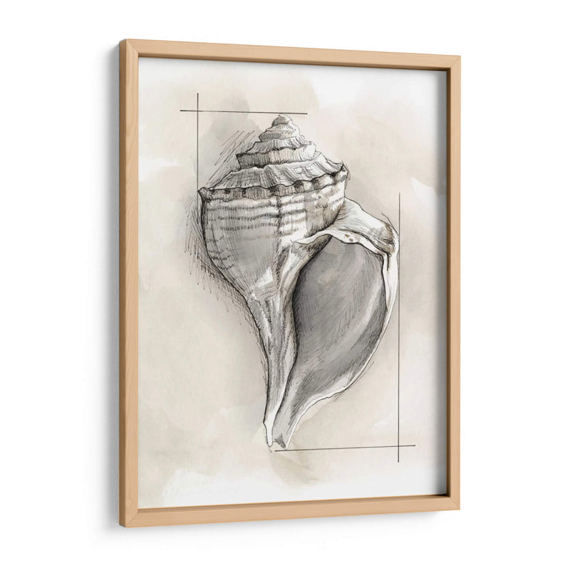 Shell Esquemático I - Megan Meagher | Cuadro decorativo de Canvas Lab