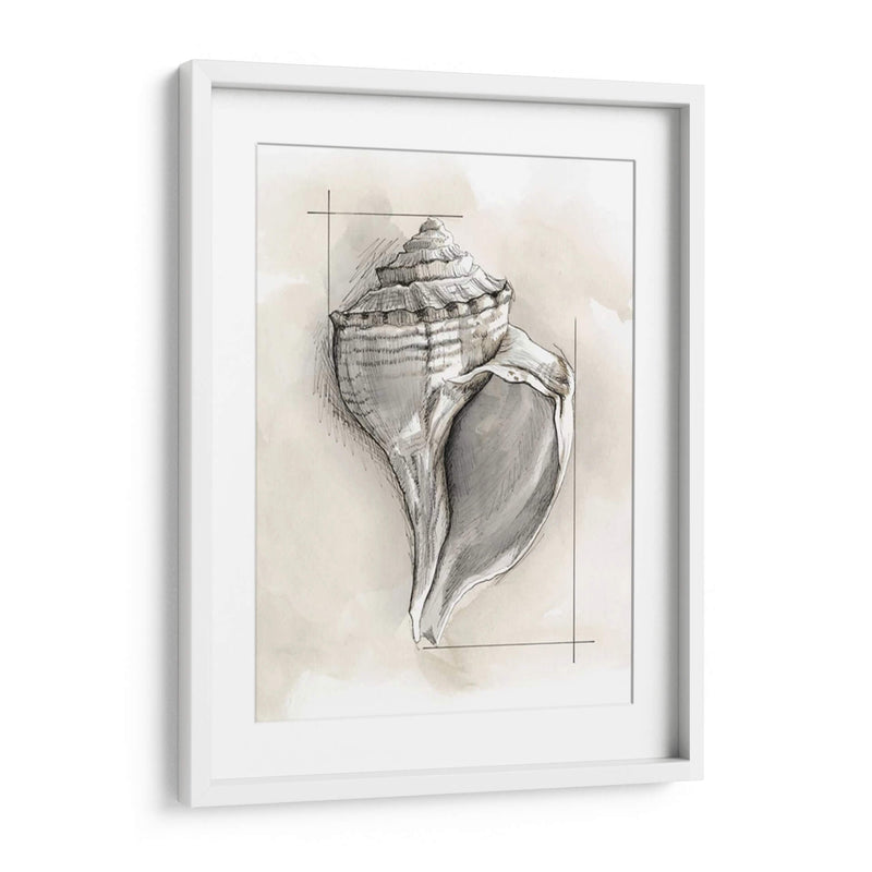 Shell Esquemático I - Megan Meagher | Cuadro decorativo de Canvas Lab