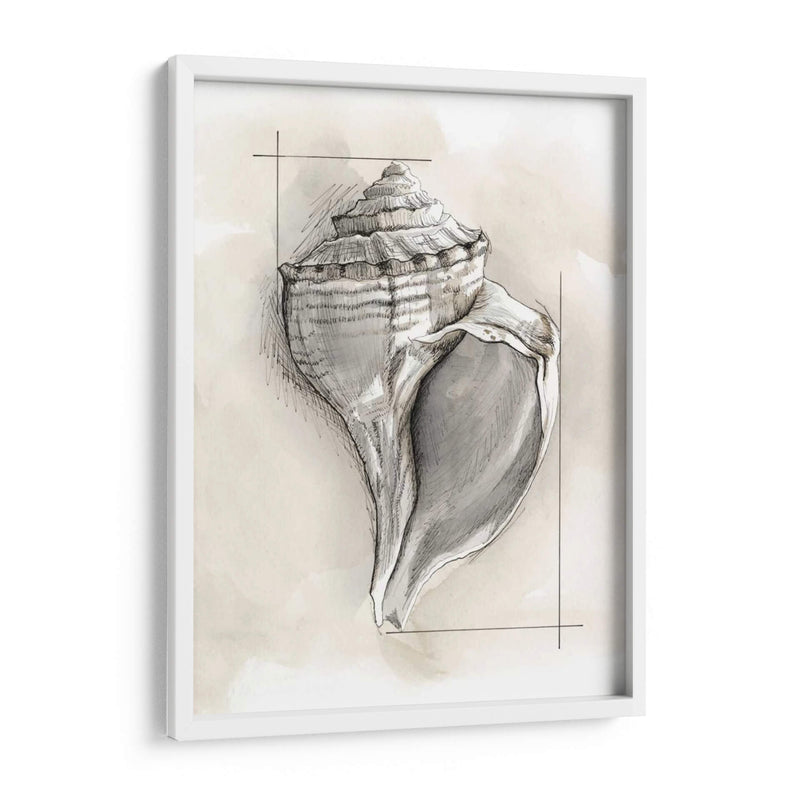 Shell Esquemático I - Megan Meagher | Cuadro decorativo de Canvas Lab