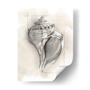Shell Esquemático I - Megan Meagher | Cuadro decorativo de Canvas Lab