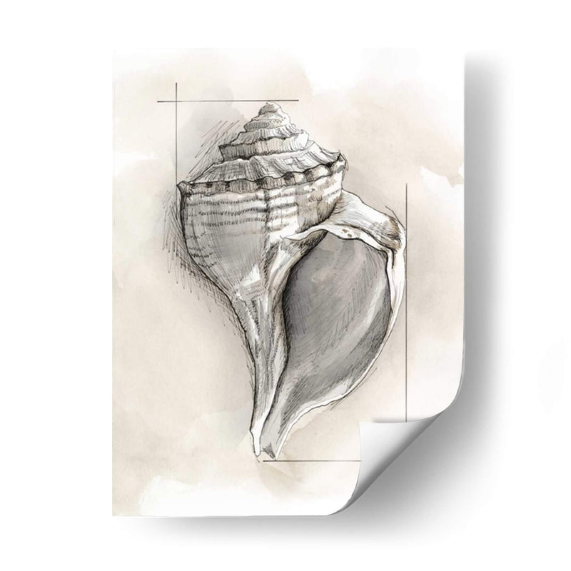 Shell Esquemático I - Megan Meagher | Cuadro decorativo de Canvas Lab
