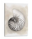 Shell Esquemático Ii - Megan Meagher | Cuadro decorativo de Canvas Lab