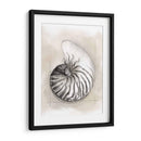 Shell Esquemático Ii - Megan Meagher | Cuadro decorativo de Canvas Lab