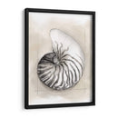 Shell Esquemático Ii - Megan Meagher | Cuadro decorativo de Canvas Lab
