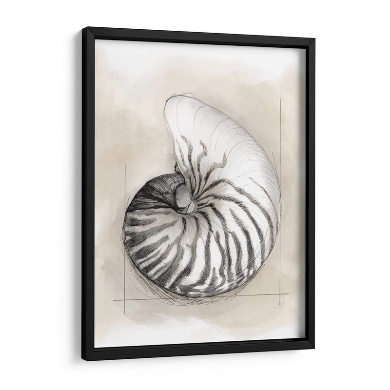 Shell Esquemático Ii - Megan Meagher | Cuadro decorativo de Canvas Lab