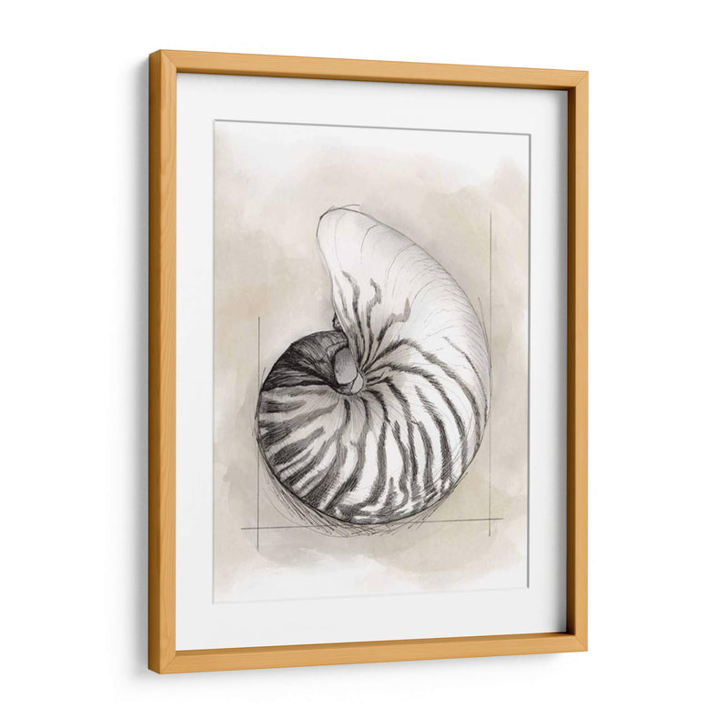 Shell Esquemático Ii - Megan Meagher | Cuadro decorativo de Canvas Lab
