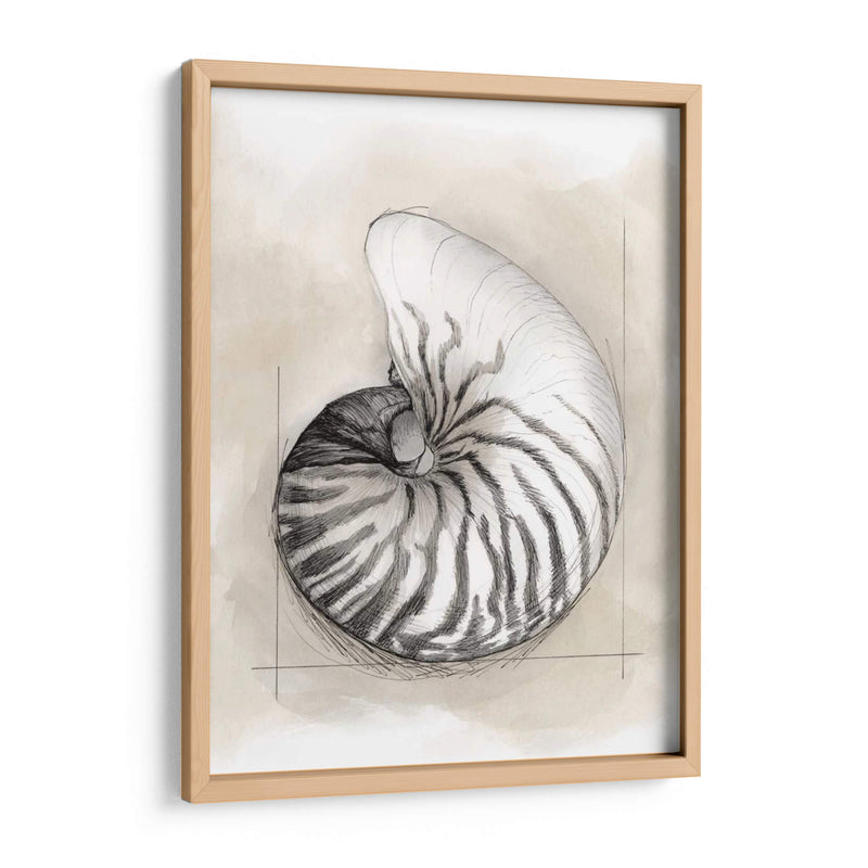 Shell Esquemático Ii - Megan Meagher | Cuadro decorativo de Canvas Lab