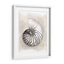 Shell Esquemático Ii - Megan Meagher | Cuadro decorativo de Canvas Lab