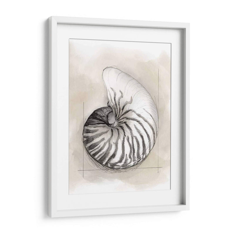 Shell Esquemático Ii - Megan Meagher | Cuadro decorativo de Canvas Lab