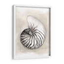 Shell Esquemático Ii - Megan Meagher | Cuadro decorativo de Canvas Lab