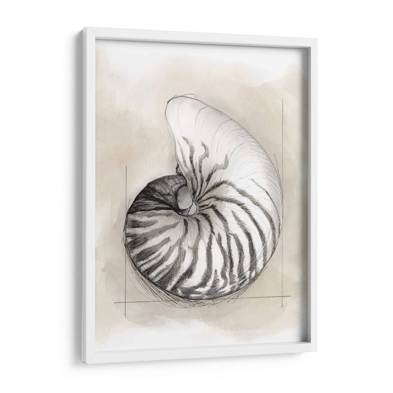 Shell Esquemático Ii - Megan Meagher | Cuadro decorativo de Canvas Lab