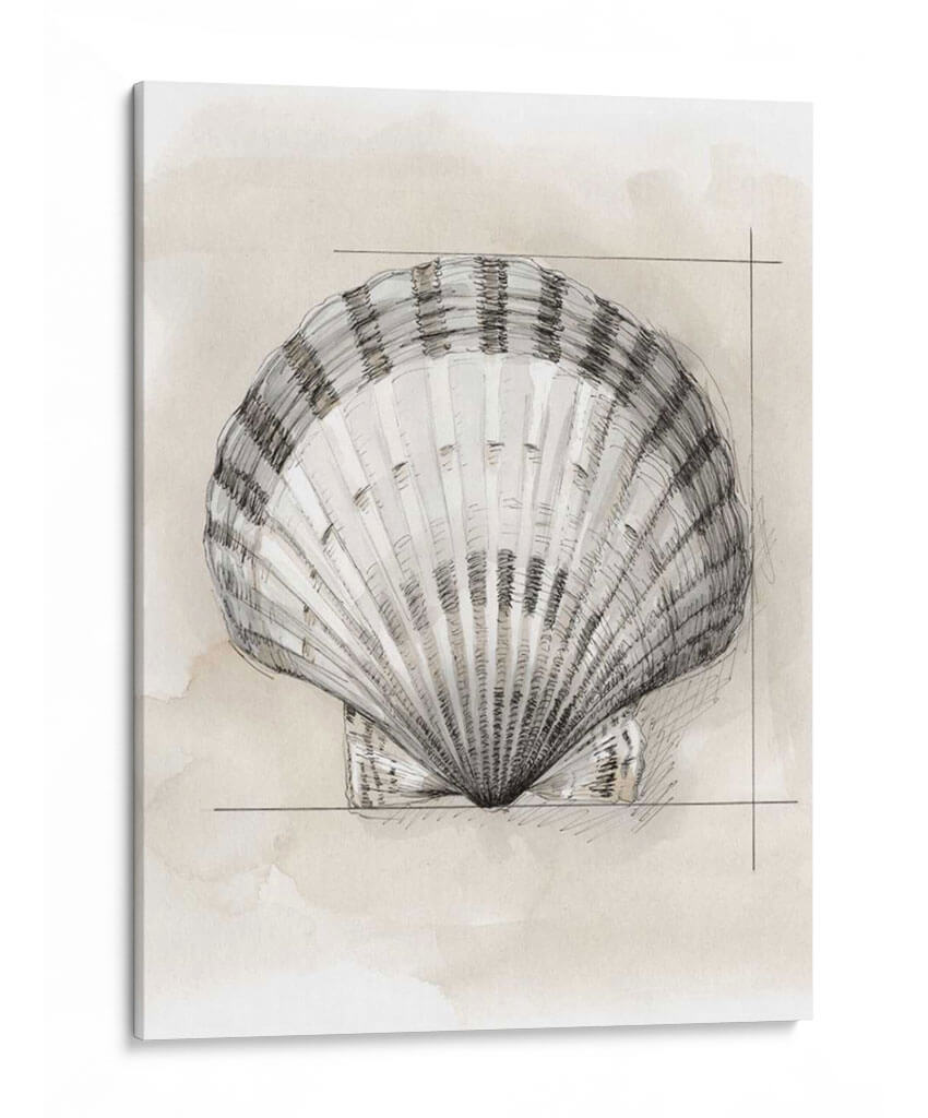 Shell Esquemático Iii - Megan Meagher | Cuadro decorativo de Canvas Lab