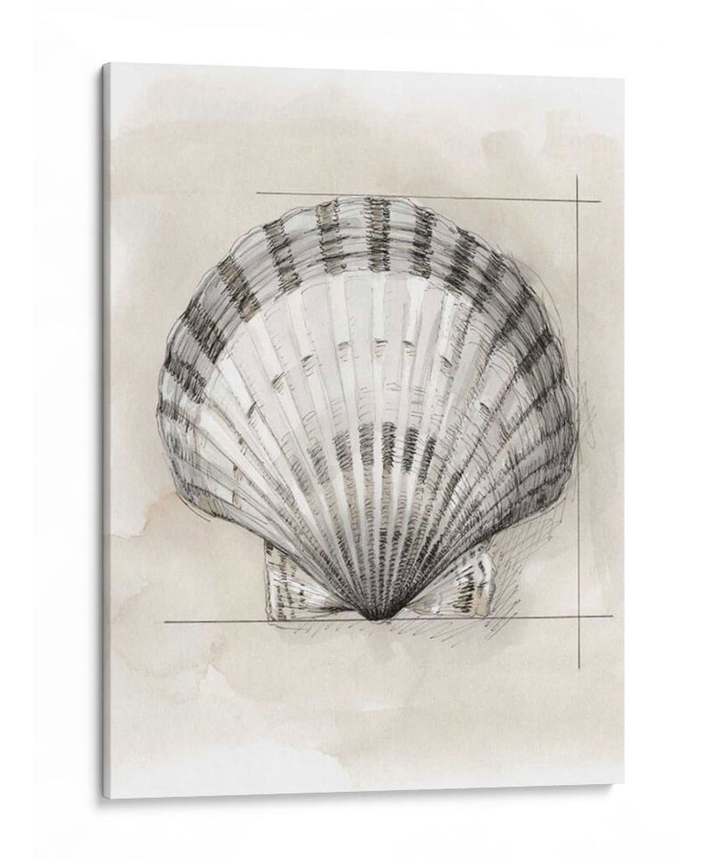 Shell Esquemático Iii - Megan Meagher | Cuadro decorativo de Canvas Lab