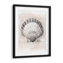 Shell Esquemático Iii - Megan Meagher | Cuadro decorativo de Canvas Lab