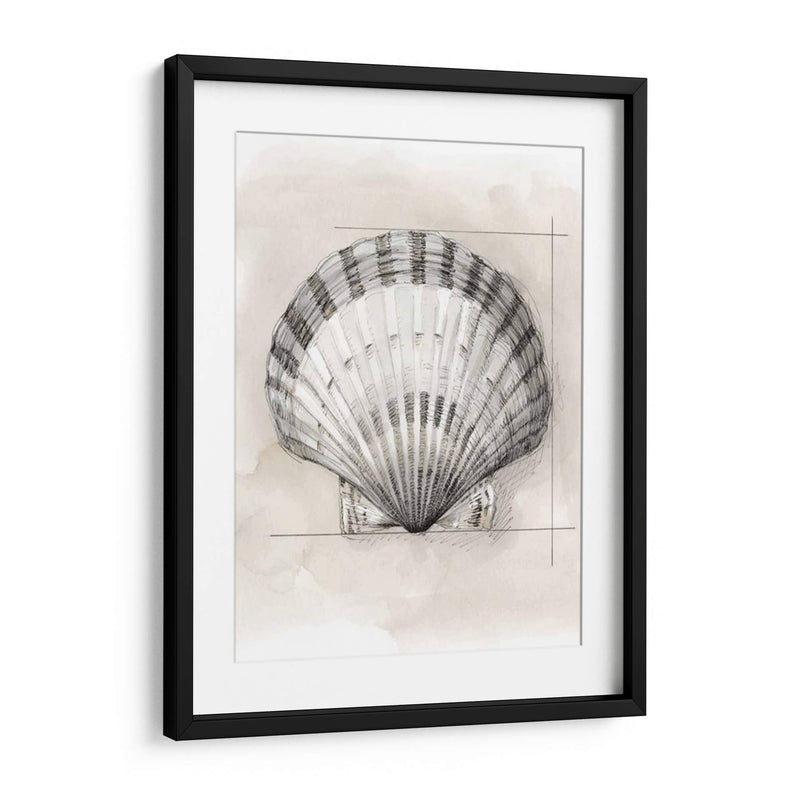 Shell Esquemático Iii - Megan Meagher | Cuadro decorativo de Canvas Lab