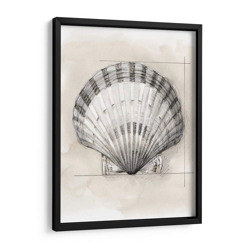Shell Esquemático Iii - Megan Meagher | Cuadro decorativo de Canvas Lab