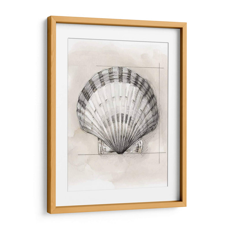Shell Esquemático Iii - Megan Meagher | Cuadro decorativo de Canvas Lab
