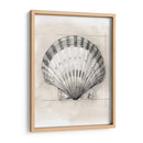 Shell Esquemático Iii - Megan Meagher | Cuadro decorativo de Canvas Lab