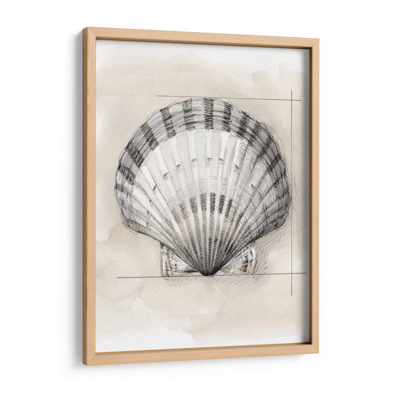 Shell Esquemático Iii - Megan Meagher | Cuadro decorativo de Canvas Lab
