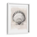 Shell Esquemático Iii - Megan Meagher | Cuadro decorativo de Canvas Lab