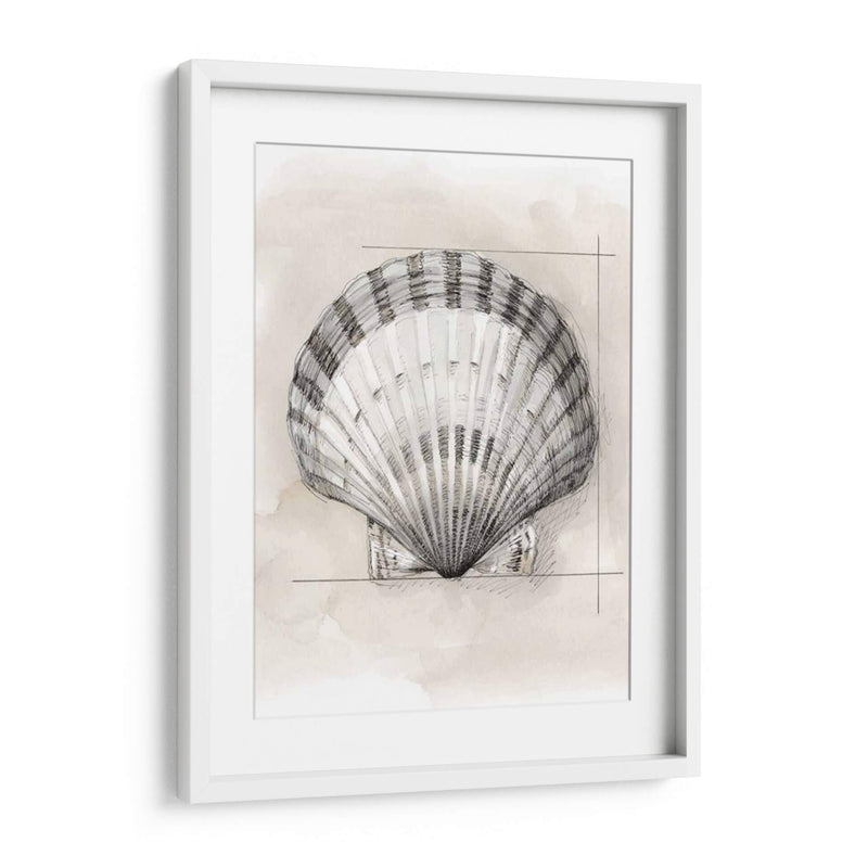 Shell Esquemático Iii - Megan Meagher | Cuadro decorativo de Canvas Lab