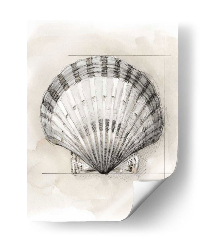 Shell Esquemático Iii - Megan Meagher | Cuadro decorativo de Canvas Lab
