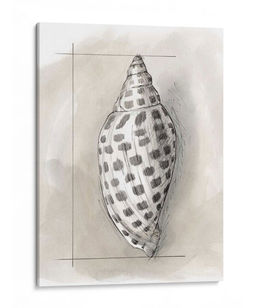 Shell Esquemático Iv - Megan Meagher | Cuadro decorativo de Canvas Lab