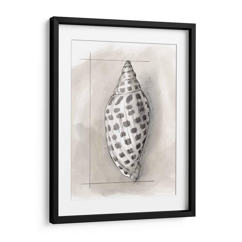 Shell Esquemático Iv - Megan Meagher | Cuadro decorativo de Canvas Lab