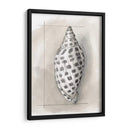 Shell Esquemático Iv - Megan Meagher | Cuadro decorativo de Canvas Lab