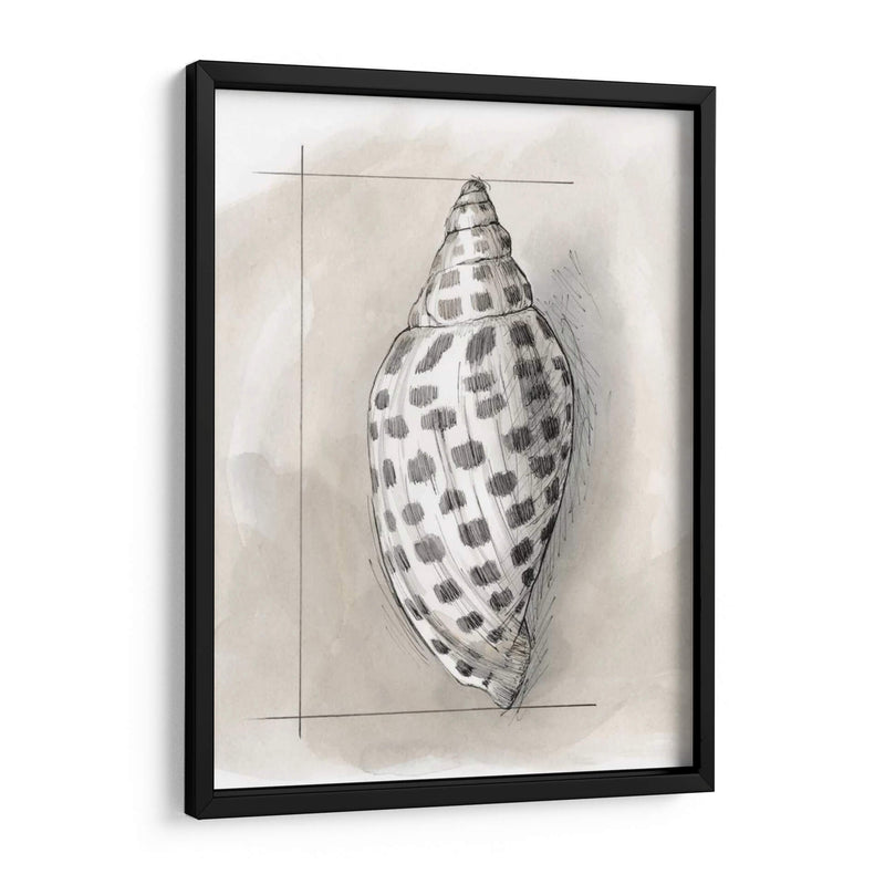 Shell Esquemático Iv - Megan Meagher | Cuadro decorativo de Canvas Lab