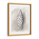 Shell Esquemático Iv - Megan Meagher | Cuadro decorativo de Canvas Lab