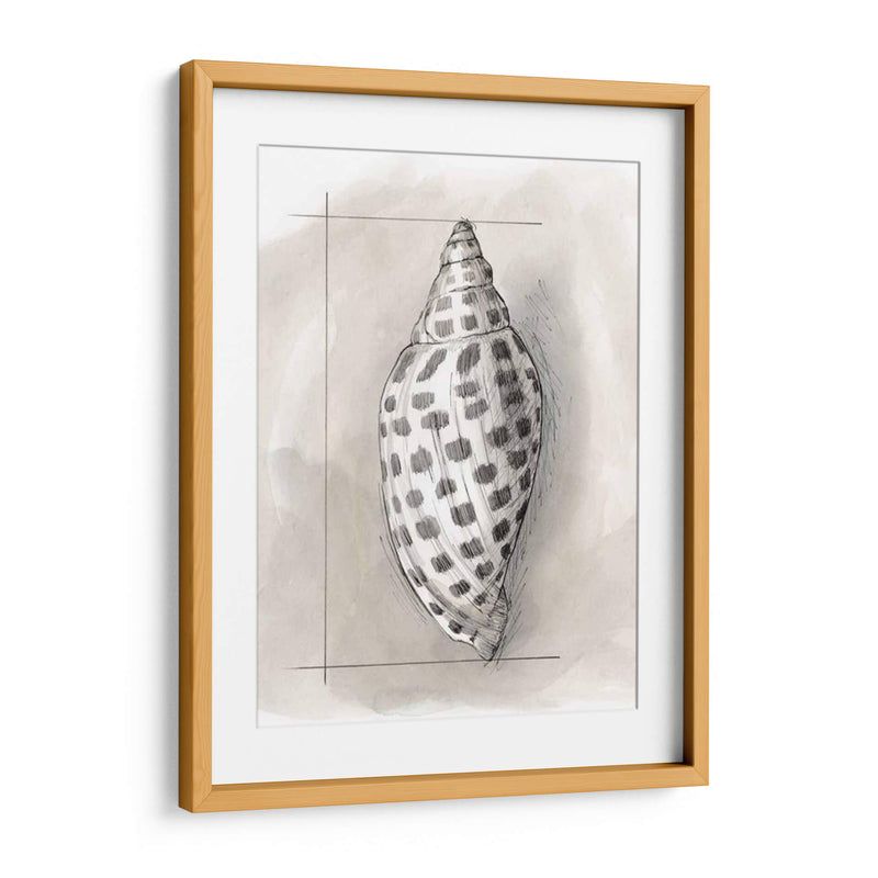 Shell Esquemático Iv - Megan Meagher | Cuadro decorativo de Canvas Lab