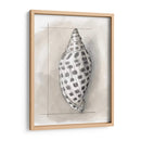 Shell Esquemático Iv - Megan Meagher | Cuadro decorativo de Canvas Lab