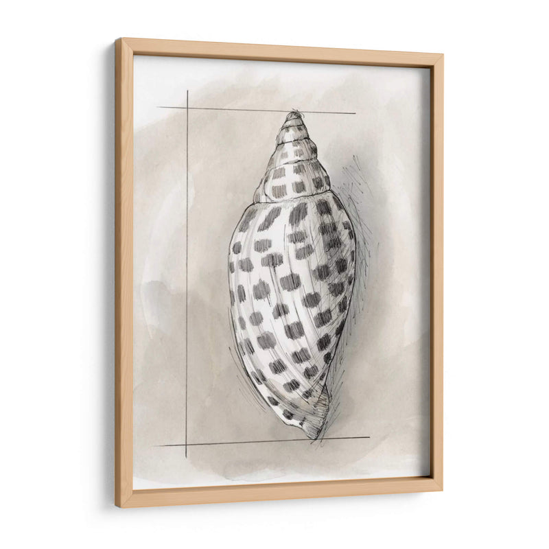 Shell Esquemático Iv - Megan Meagher | Cuadro decorativo de Canvas Lab
