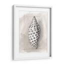 Shell Esquemático Iv - Megan Meagher | Cuadro decorativo de Canvas Lab