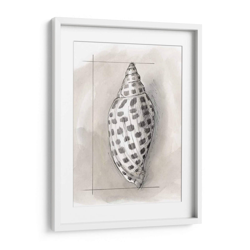 Shell Esquemático Iv - Megan Meagher | Cuadro decorativo de Canvas Lab