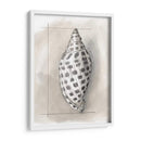 Shell Esquemático Iv - Megan Meagher | Cuadro decorativo de Canvas Lab
