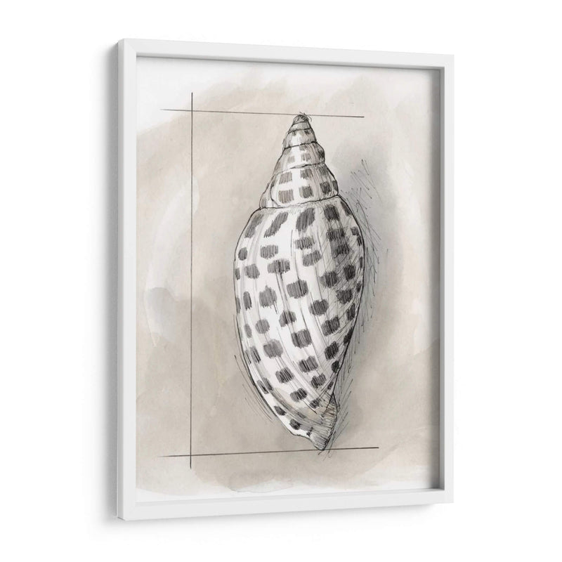 Shell Esquemático Iv - Megan Meagher | Cuadro decorativo de Canvas Lab