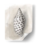 Shell Esquemático Iv - Megan Meagher | Cuadro decorativo de Canvas Lab
