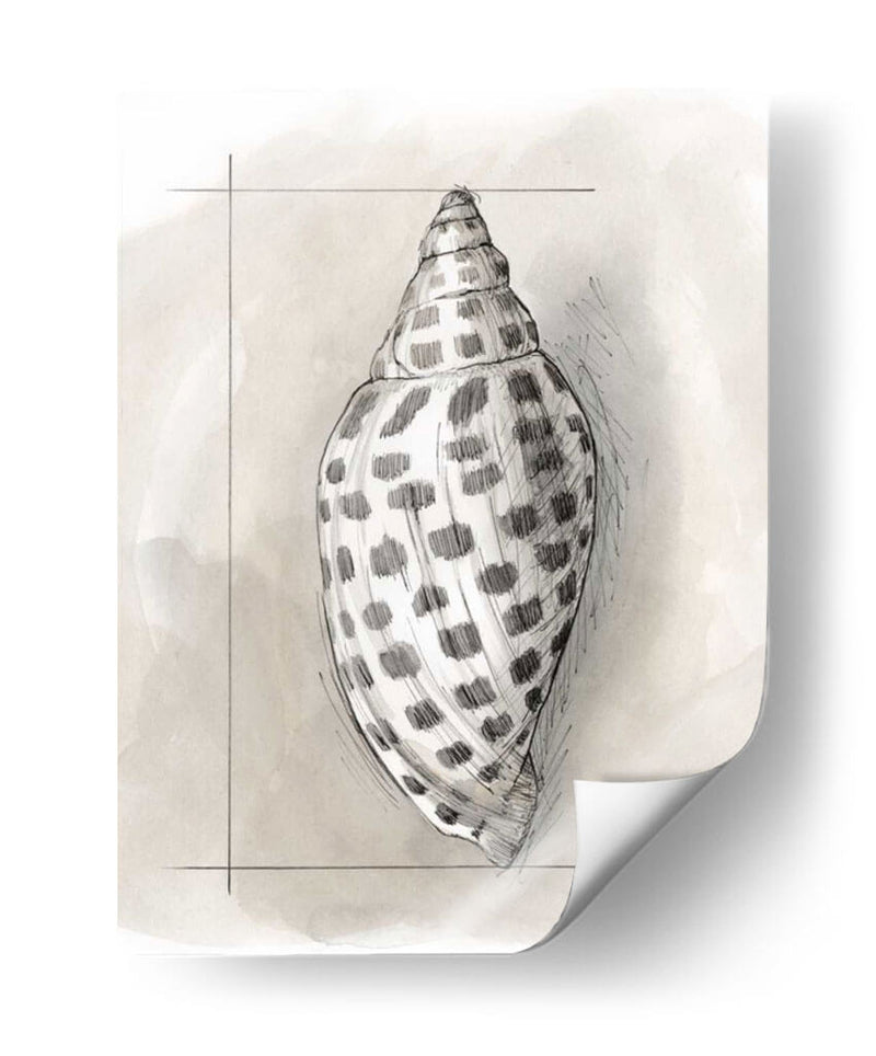 Shell Esquemático Iv - Megan Meagher | Cuadro decorativo de Canvas Lab