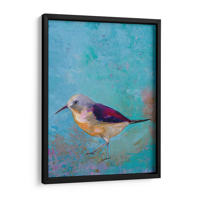 Vibrante Shorebird I - Mehmet Altug | Cuadro decorativo de Canvas Lab