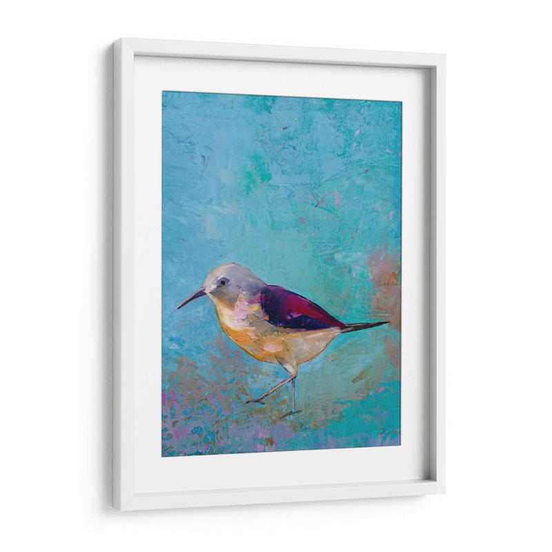Vibrante Shorebird I - Mehmet Altug | Cuadro decorativo de Canvas Lab