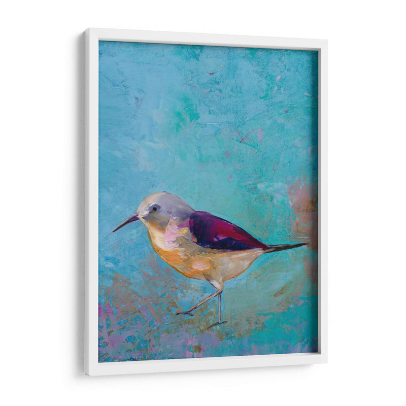 Vibrante Shorebird I - Mehmet Altug | Cuadro decorativo de Canvas Lab