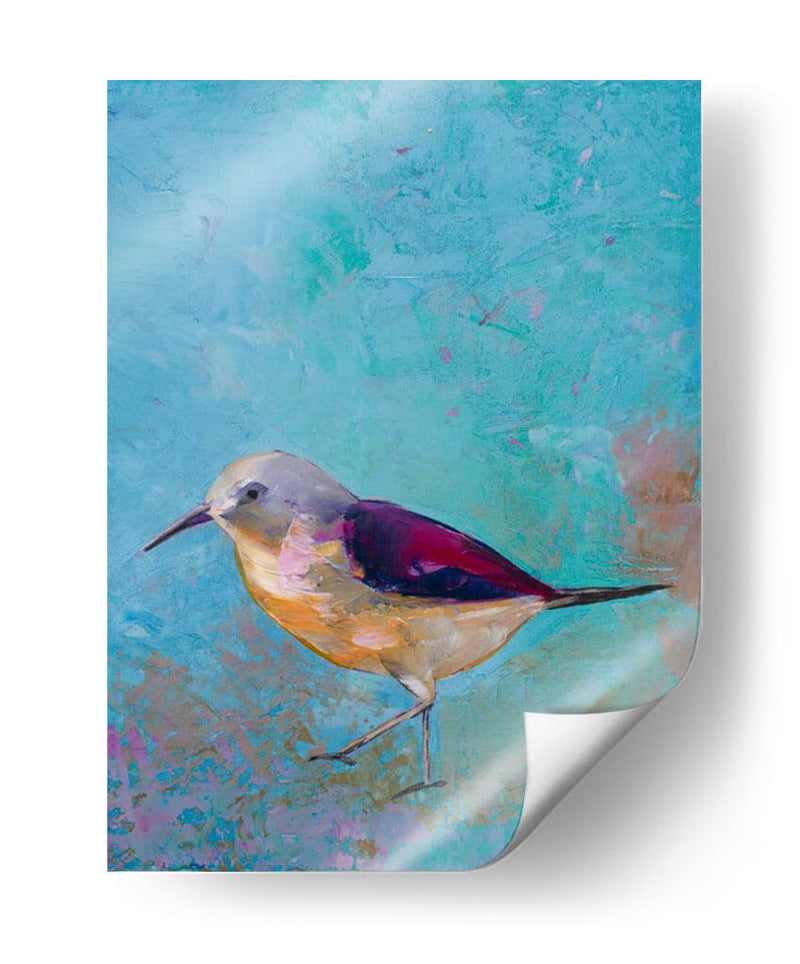 Vibrante Shorebird I - Mehmet Altug | Cuadro decorativo de Canvas Lab
