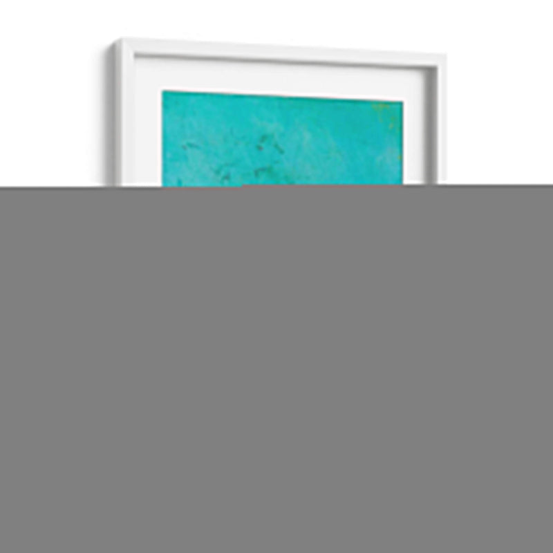 Vibrante Shorebird Iii - Mehmet Altug | Cuadro decorativo de Canvas Lab