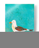 Vibrante Shorebird Iii - Mehmet Altug | Cuadro decorativo de Canvas Lab