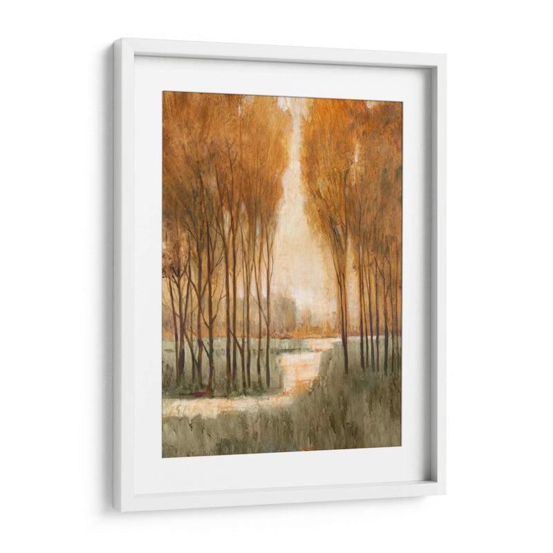 Bosque Dorado I - Tim OToole | Cuadro decorativo de Canvas Lab