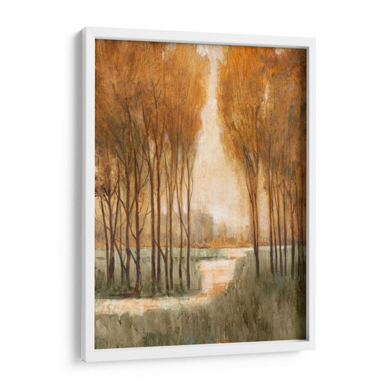 Bosque Dorado I - Tim OToole | Cuadro decorativo de Canvas Lab