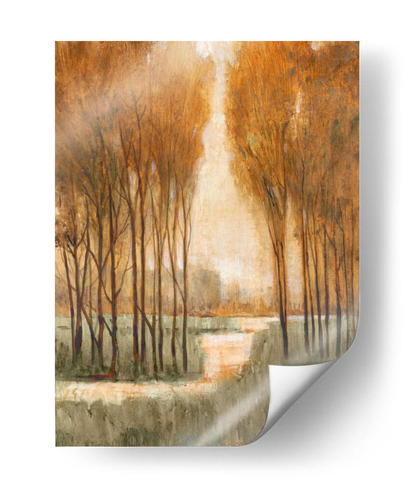 Bosque Dorado I - Tim OToole | Cuadro decorativo de Canvas Lab