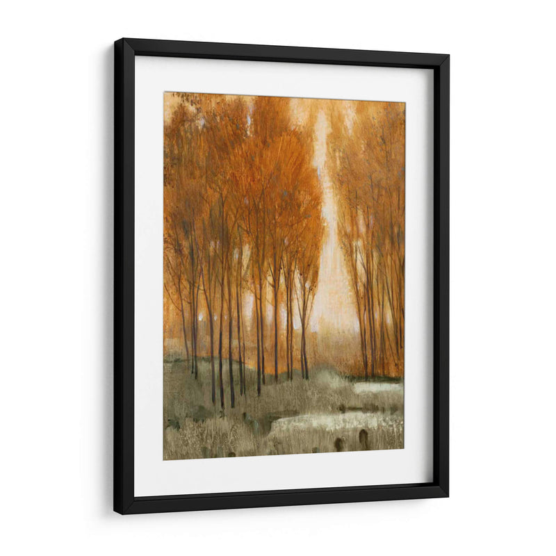 Bosque Golden Ii - Tim OToole | Cuadro decorativo de Canvas Lab